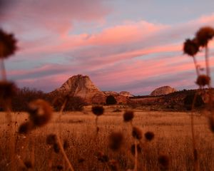 Preview wallpaper field, mountains, landscape, vegetation