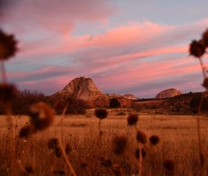 Preview wallpaper field, mountains, landscape, vegetation