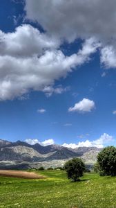 Preview wallpaper field, mountains, trees, landscape