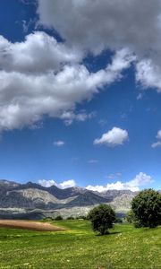 Preview wallpaper field, mountains, trees, landscape