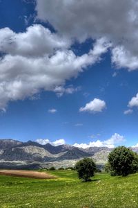 Preview wallpaper field, mountains, trees, landscape