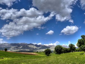 Preview wallpaper field, mountains, trees, landscape