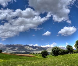 Preview wallpaper field, mountains, trees, landscape