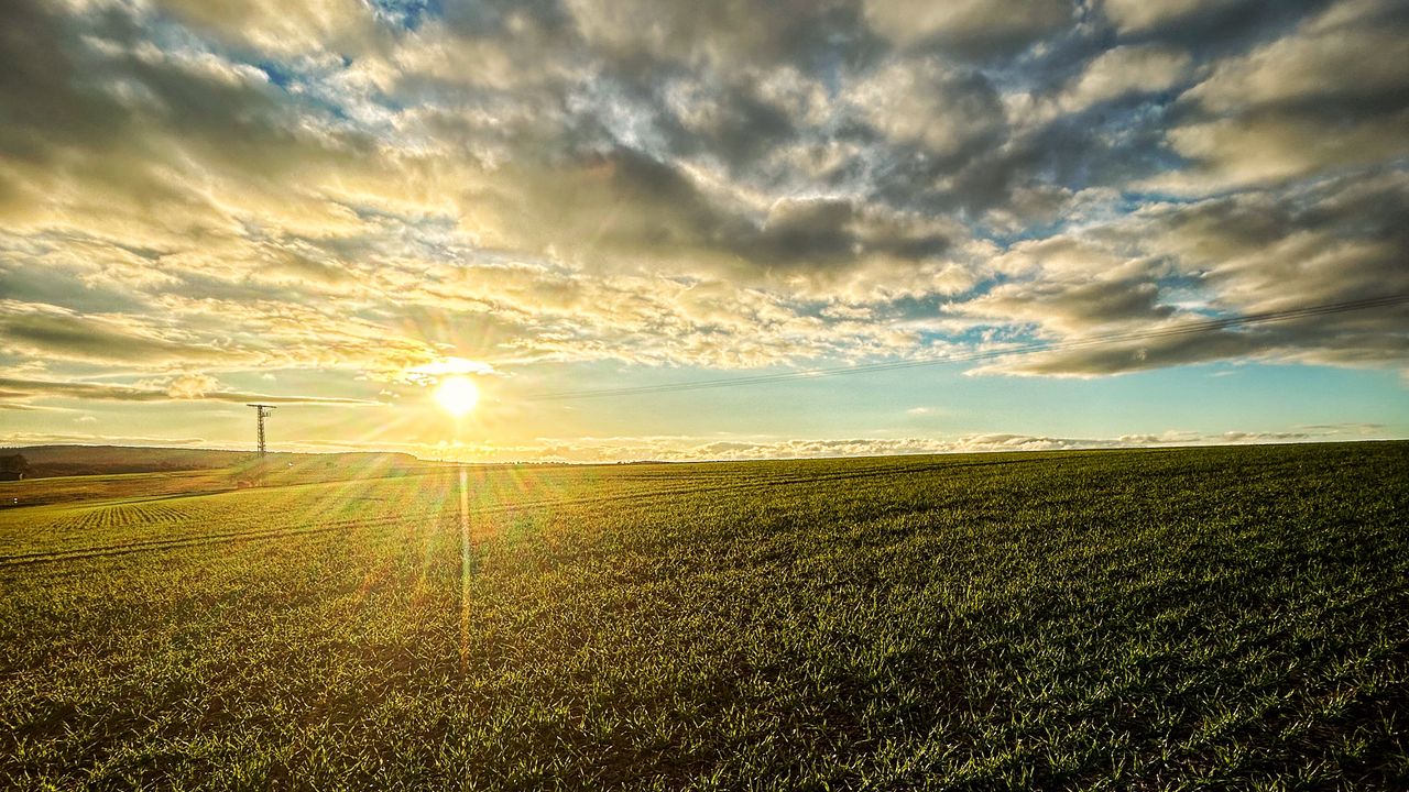 Wallpaper field, nature, sun, sky, clouds