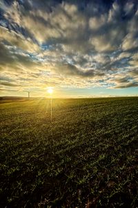 Preview wallpaper field, nature, sun, sky, clouds