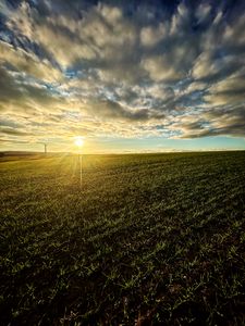 Preview wallpaper field, nature, sun, sky, clouds