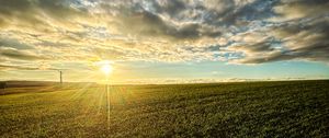 Preview wallpaper field, nature, sun, sky, clouds