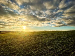 Preview wallpaper field, nature, sun, sky, clouds