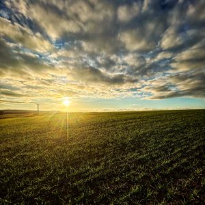 Preview wallpaper field, nature, sun, sky, clouds