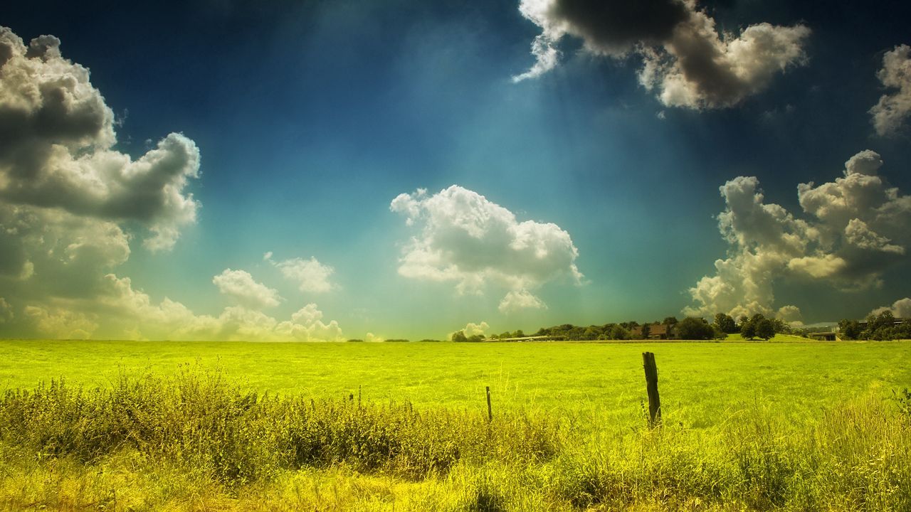 Wallpaper field, pasture, sky, clouds, day, summer, paints, colors