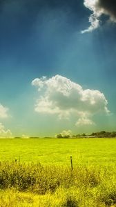 Preview wallpaper field, pasture, sky, clouds, day, summer, paints, colors