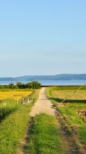 Preview wallpaper field, path, plantation, landscape