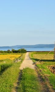 Preview wallpaper field, path, plantation, landscape