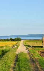 Preview wallpaper field, path, plantation, landscape