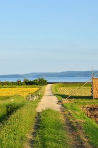 Preview wallpaper field, path, plantation, landscape