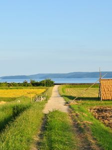 Preview wallpaper field, path, plantation, landscape