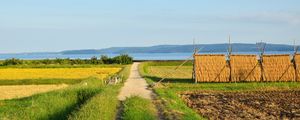 Preview wallpaper field, path, plantation, landscape