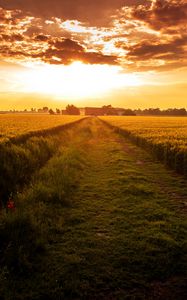 Preview wallpaper field, path, sunset, horizon