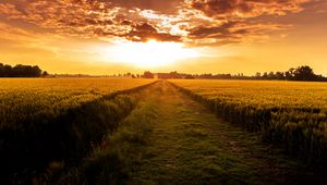 Preview wallpaper field, path, sunset, horizon