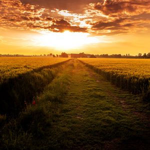 Preview wallpaper field, path, sunset, horizon