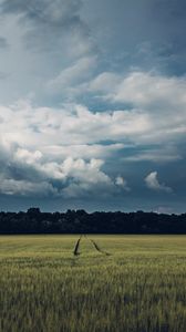 Preview wallpaper field, path, trees, clouds, landscape, nature