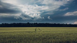 Preview wallpaper field, path, trees, clouds, landscape, nature