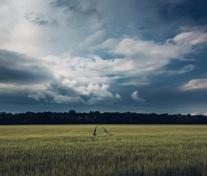 Preview wallpaper field, path, trees, clouds, landscape, nature