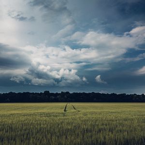 Preview wallpaper field, path, trees, clouds, landscape, nature