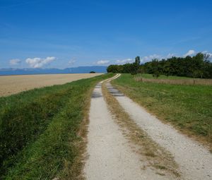 Preview wallpaper field, path, trees, landscape