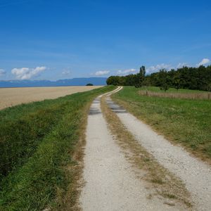 Preview wallpaper field, path, trees, landscape