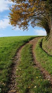 Preview wallpaper field, path, turn, trees, nature, landscape