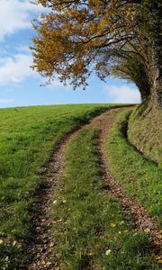 Preview wallpaper field, path, turn, trees, nature, landscape