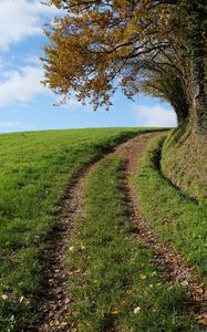 Preview wallpaper field, path, turn, trees, nature, landscape