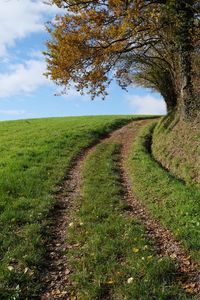 Preview wallpaper field, path, turn, trees, nature, landscape