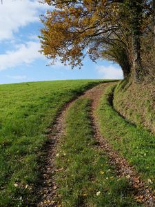 Preview wallpaper field, path, turn, trees, nature, landscape
