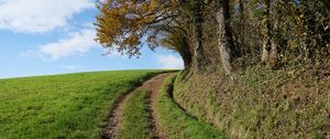 Preview wallpaper field, path, turn, trees, nature, landscape