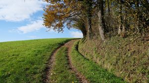 Preview wallpaper field, path, turn, trees, nature, landscape