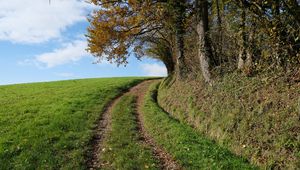 Preview wallpaper field, path, turn, trees, nature, landscape