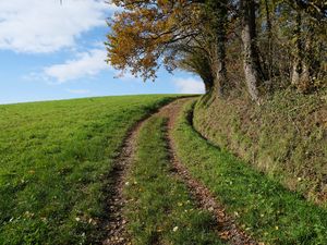 Preview wallpaper field, path, turn, trees, nature, landscape
