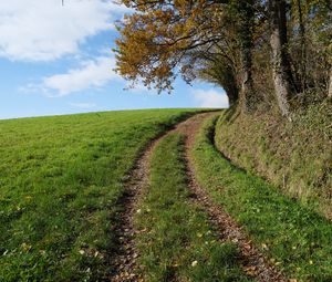 Preview wallpaper field, path, turn, trees, nature, landscape