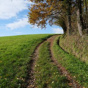 Preview wallpaper field, path, turn, trees, nature, landscape