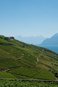 Preview wallpaper field, plantation, mountains, sea