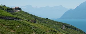 Preview wallpaper field, plantation, mountains, sea