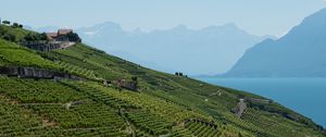 Preview wallpaper field, plantation, mountains, sea