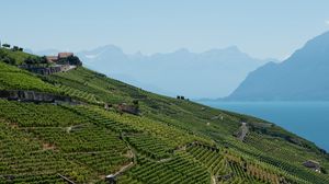 Preview wallpaper field, plantation, mountains, sea