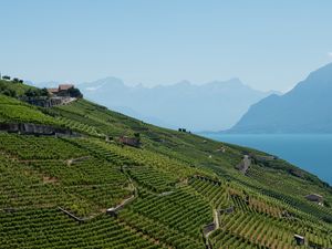 Preview wallpaper field, plantation, mountains, sea