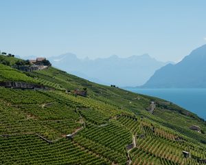 Preview wallpaper field, plantation, mountains, sea