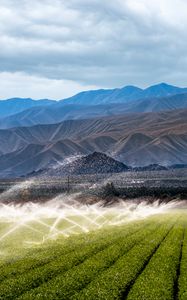 Preview wallpaper field, plants, mountains, watering