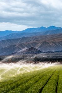 Preview wallpaper field, plants, mountains, watering