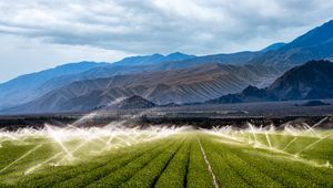 Preview wallpaper field, plants, mountains, watering